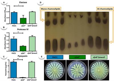 Role of the Multidrug Resistance Efflux Pump MexCD-OprJ in the Pseudomonas aeruginosa Quorum Sensing Response